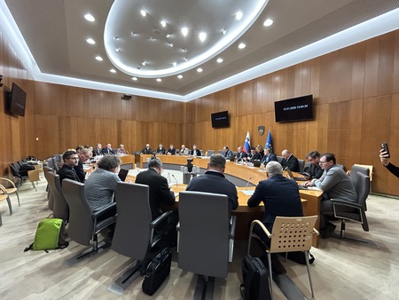 Župan v Državnem svetu