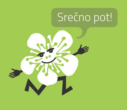 Češnjev cvet